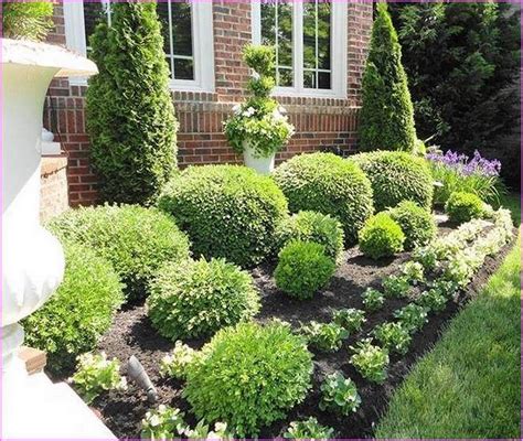 10 Landscaping Shrubs For Front Of House
