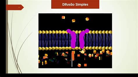 Biologia Membrana Plasmática Parte 2 Youtube