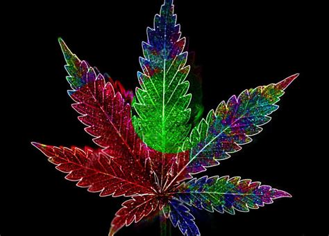 Download Psychedelic Weed Wallpaper