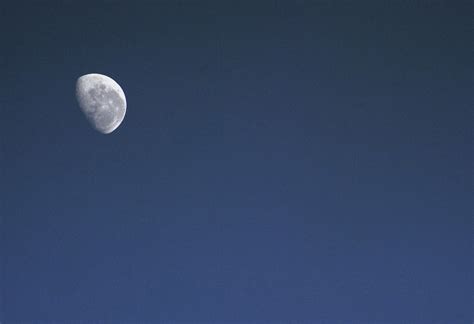 Moon In A Twilight Sky 3866 Stockarch Free Stock Photos