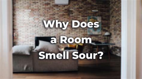 11 Reasons Why Your Room Smells Sour A Strategic Guide Dailyhomesafety