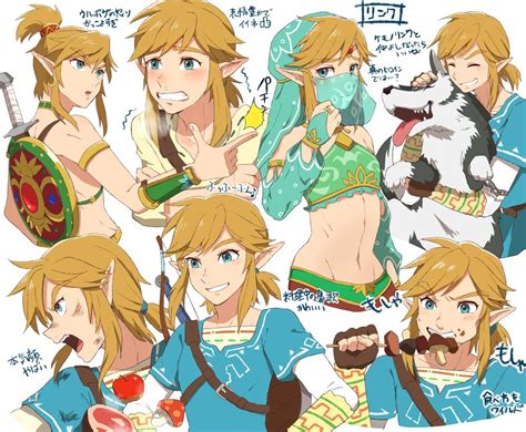 Pinterest Legend Of Zelda Legend Breath Of The Wild