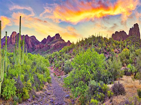 Vows Amidst Nature's Majesty: Outdoor Weddings with Arizona's Scenic
