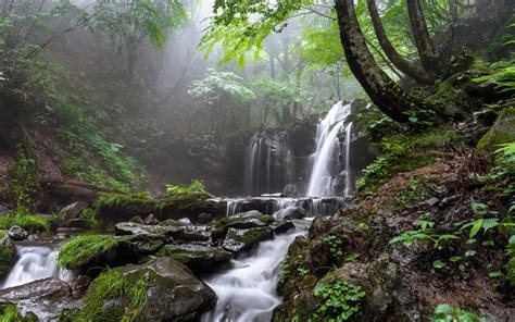 Download Wallpapers Mountain Waterfall Forest Rocks Fog Waterfalls