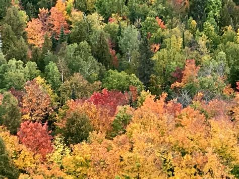 Minnesota Fall Colors