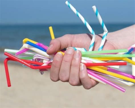 Straws are really that singular item that every day someone can say no to, and it doesn't cause us problems as individuals, she added. Say No To Plastic Straws - ForestNation