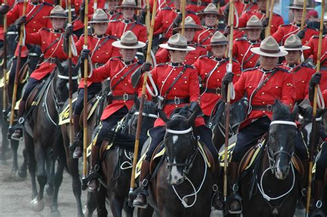 The royal canadian mounted police is canada's national police service. Chinese Steroid Powder Seized by Royal Canadian Mounted Police