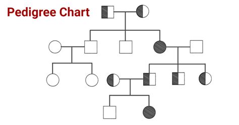 Pedigree Chart Definition Interpretation Symbols Significances