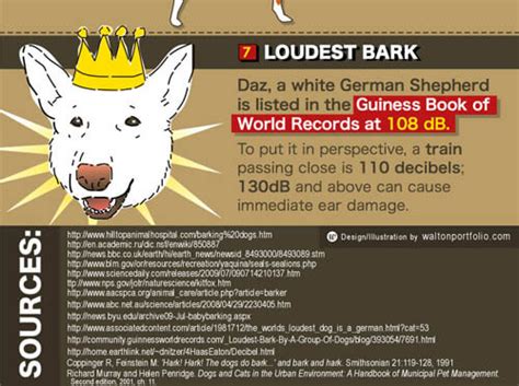 Dog World Records List 139 Incredible Sensational And Unbelievable √
