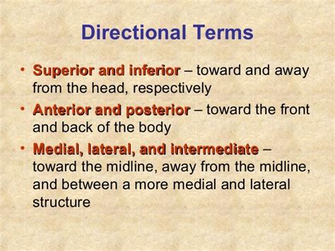 Unit I Introduction To Anatomical Terms