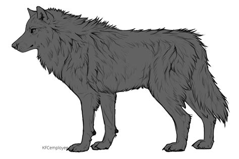 Wolf Front View Drawing At Explore Collection Of