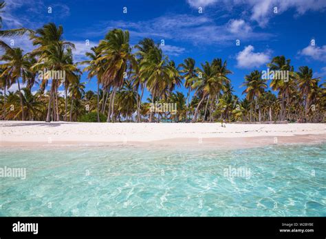 República Dominicana Punta Cana Parque Nacional Del Este Isla Saona