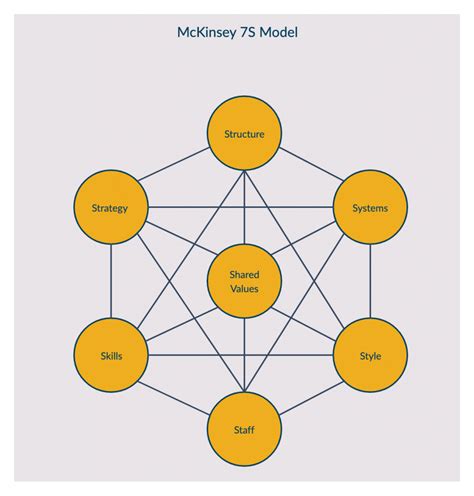 Mckinsey 7s Framework Case Study