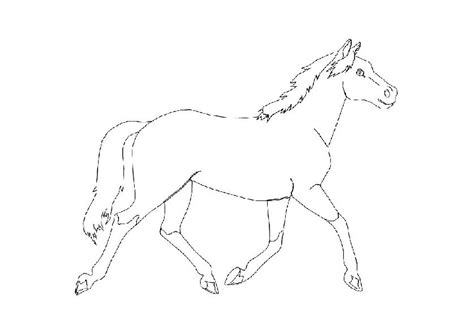 Kleurplaten en zo kleurplaten van paarden in kleurplaat paard en. Penting koe sehat: Gratis Kleurplaat Paard