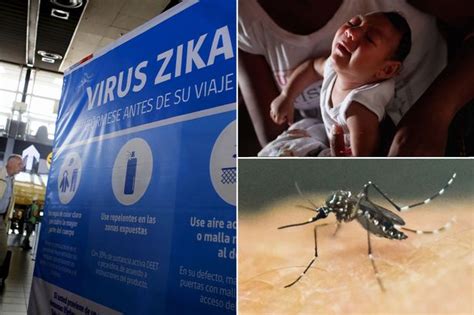 Zika Virus Colombian Government Confirm More Than 3100 Pregnant Women