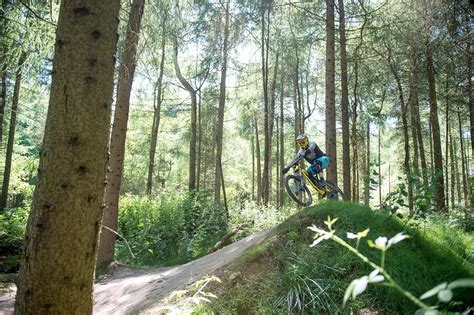 Forest Of Dean Gloucestershire Trail Centre Guide Mbr