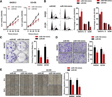 mir 144 inhibits tumor growth and metastasis in osteosarcoma via dual suppressing rhoa rock1