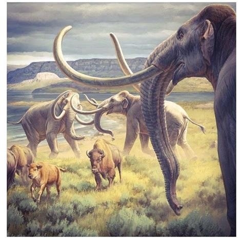 15 Facts About Woolly Mammoths How To Draw A Woolly Mammoth