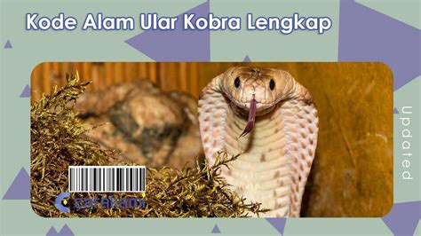 ular kobra nomer togelnya berapa