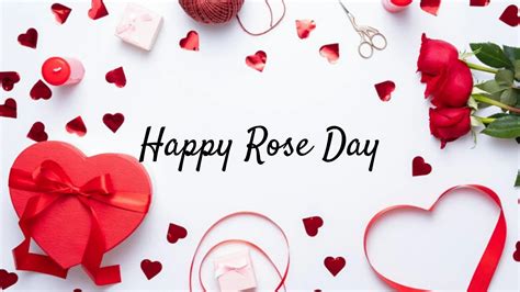 World Rose Day Quotes Messages And Wishes Lifestyle By Cybertecz