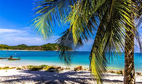 Urlaub Strand Palme · Kostenloses Foto Auf Pixabay