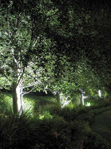 If you've spent a lot of time designing a certain flower section, these lights help focus on that. LEDtronics LED Spotlights Improve Landscape Lighting ...