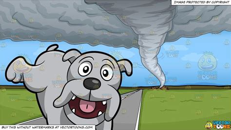 A Super Excited Tough Dog And A Tornado Background In 2020 Dogs