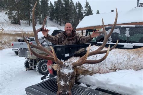 Elk Hunting Montana Hunting And Fishing