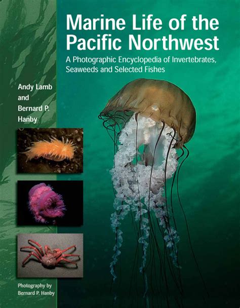 Harbour Publishing Marine Life Of The Pacific Northwest