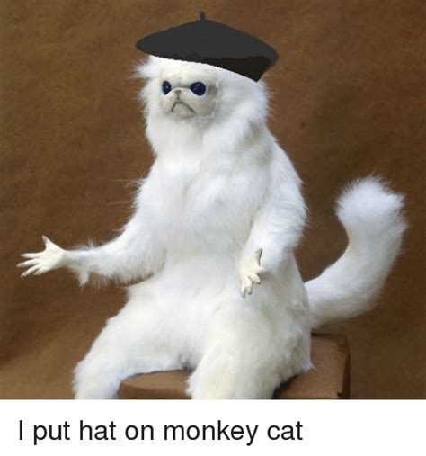 Monkey And Monkey Meme On Meme