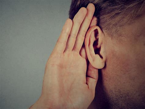 Human Hearing Range