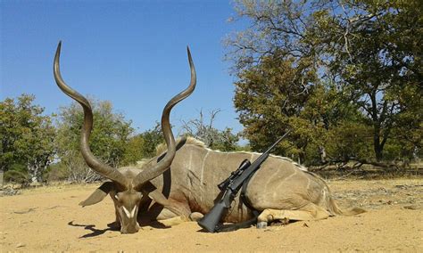 Trophy Kudu Hunting In South Africa Big Game Hunting Adventures