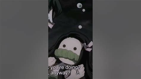 meet demon slayer (no roots) #demonslayer #zenitsu #nezuko #inosuke #