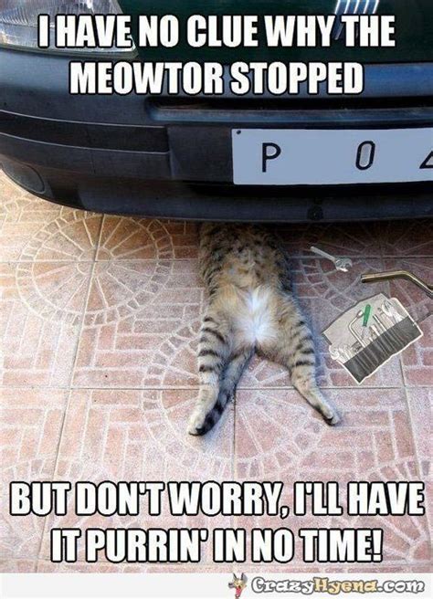 Mechanic Cat To The Rescue Cats Funny Animal Pictures Cat Puns