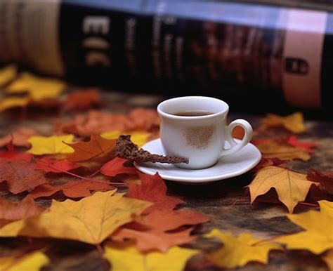 Miniature Coffee Cup With Books And Autumn Leaves Background Autumn