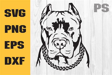 Pitbull Svg American Pit Bull Svg Graphic By Ilukkystore · Creative