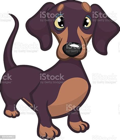 Cartoon Vector Illustration Of Cute Purebred Dachshund Dog Stock