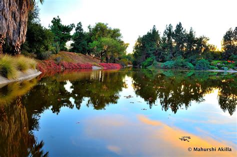 Reflections On Water At Uc Davis Arboretum Scenic Views California