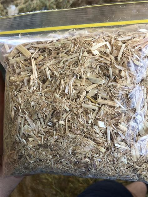 Barley Straw 500kg 8x4x3 Bales New Seasons Farm Tender