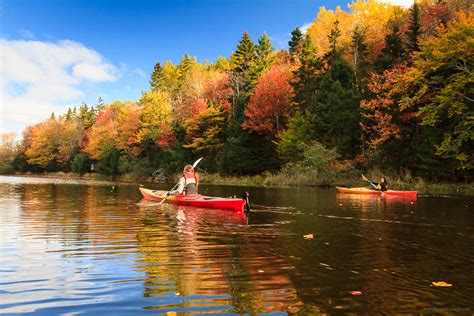 3 Reasons Why Kayaking The Fox River In Fall Is The Absolute Best Fox