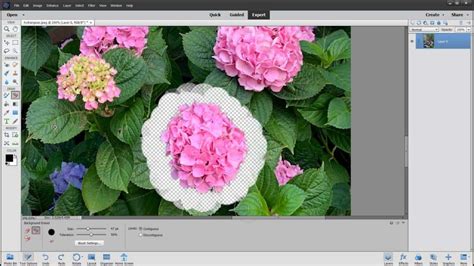 Remove A Background Using Photoshop Elements