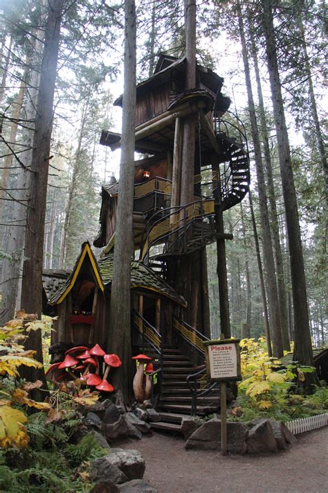 The Enchanted Forest And Around Revelstoke Travel Around The Galaxy