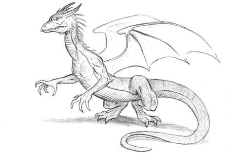 Рисунки драконов для срисовки 30 картинок