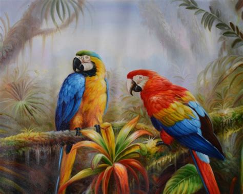 Getwallpapers is a big community, where people create, share and discuss their wallpapers. Jungle Parrot Exotic Birds Pictures Download Hd Wallpaper ...