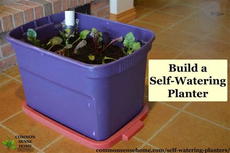 If your rental has a garden, and your landlord approves, plant in the ground. 20 Best Diy Self Watering Planter Box - Home Inspiration ...