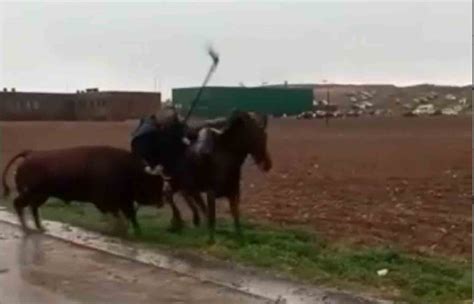 Vídeo: la brutal cogida a un caballo en un encierro en Torija
