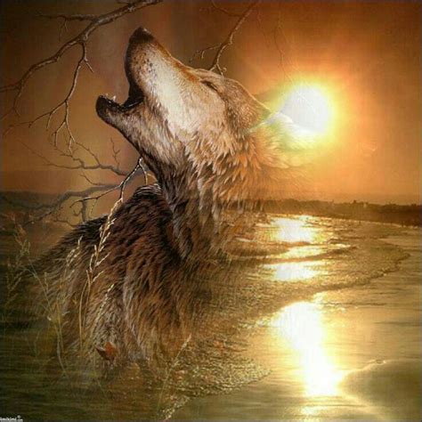 Pin By Luna Shimmer On Wolf Native American Wolf Wolf