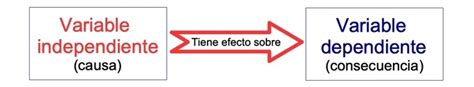 Los 8 Tipos De Variables En Investigación Y Ejemplos Diferenciador