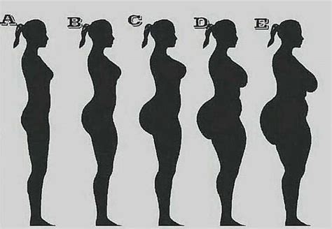 What The Perfect Female Body Looks Like According To This Insane