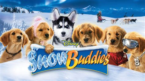 Is Snow Buddies On Netflix Where To Watch The Movie New On Netflix Usa